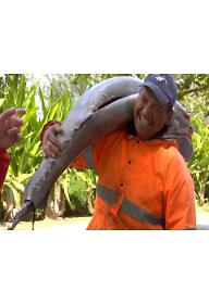 오염된 바다: 폴리네시아의 위기