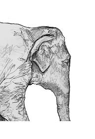 안녕, 아시아 코끼리