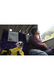 세 치 다리로 떠나는 여행