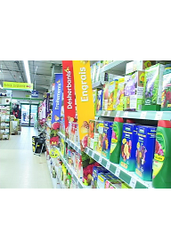 나의 사랑 살충제