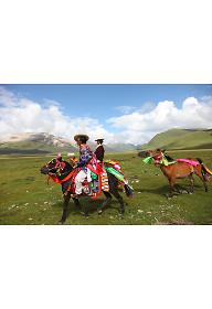 도시에 갇힌 유목민