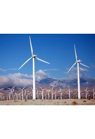 레스터 브라운의 플랜 B