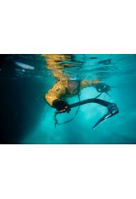 피오르드의 연인