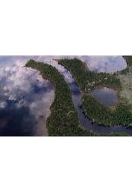 숲과 인류의 미래