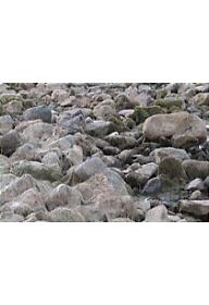 여기, 우리가 만나는 곳