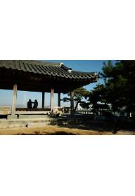 물은 답을 알고 있다