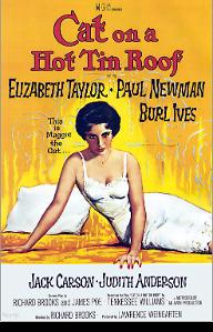 뜨거운 양철 지붕 위의 고양이