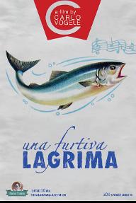 남 몰래 흐르는 눈물