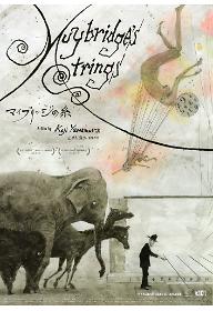 머이브리지의 끈