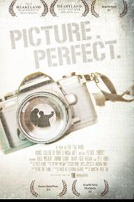 퍼펙트 픽처 