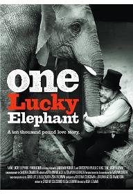 운 좋은 코끼리 플로라