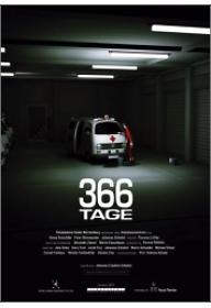 366일