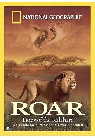 칼라하리 라이언