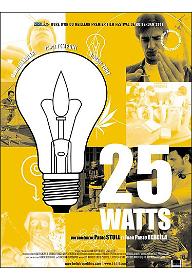 25 와트
