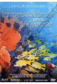 물 아래의 인상