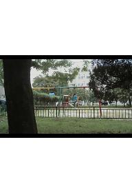 마침내 날이 샌다