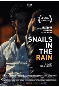 텔아비브의 여름 