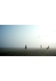 죽은 예술가의 시