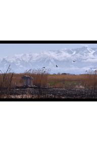 김 알렉스의 식당: 안산-타슈켄트