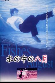 8월의 물고기
