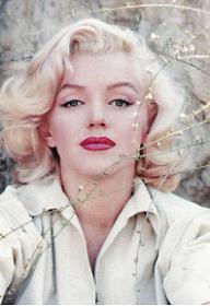 러브, 마릴린 