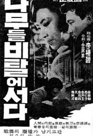 나무들 비탈에 서다