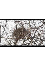 천에 오십 반지하