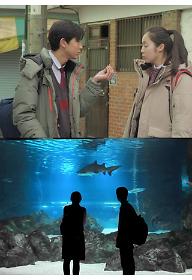 지구에서 은하까지