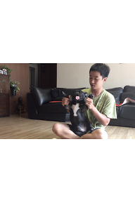 더 퍼피 