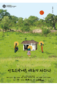 아프리카에도 배추가 자라나