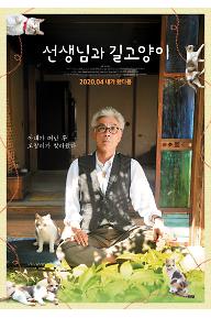 선생님과 길고양이
