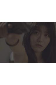새, 공작(恐雀)