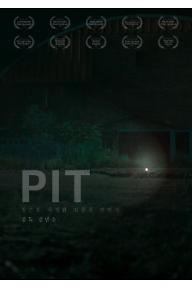 피트