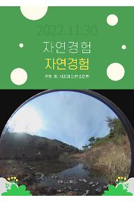자연경험