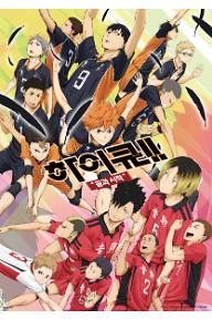 하이큐!! 끝과 시작