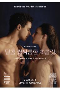 달콤 쌉사름한 초콜릿