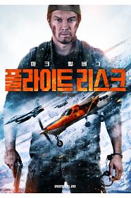 플라이트 리스크