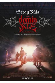 스트레이 키즈 : 더 도미네이트 익스피리언스