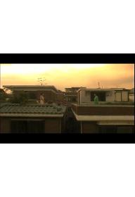 소규모 옥상 밴드