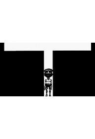 더 티 룸(The T Room)