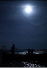 여름이 없었던 해