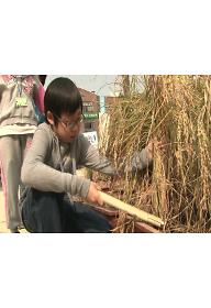 도시아이들 논을 만나다