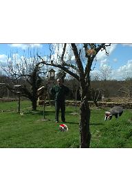 야생동물을 정원으로 이끄는 법