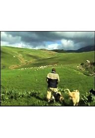 산토 스테파노의 목가