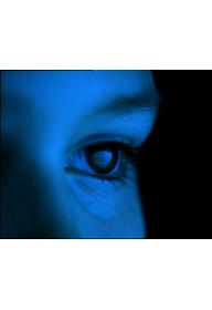 나의 숲을 지켜 줘