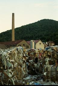 쓰레기를 먹는 야수