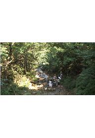 도시, 물 길을 잃다