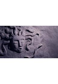 바다거북의 노래