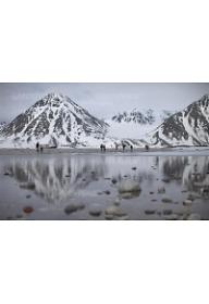 그린피스: 북극해의 위기