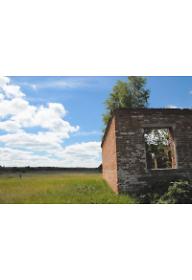 체르노빌 - 다시 쓰는 자연사